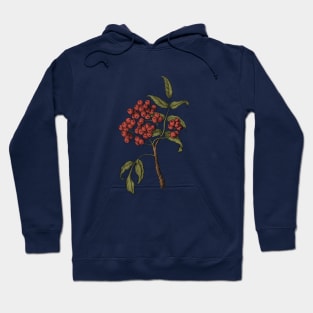 Rowan Hoodie